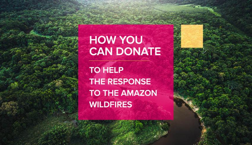 Amazon Wildfires